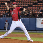 Leones derrotó al Magallanes y aseguró serie particular