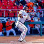 Umpires David Arrieta y Jonathan Parra representarán a la LVBP en la Serie del Caribe