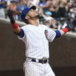 500 venezolanos, 16 países, y 44 equipos en la Dominican Summer League