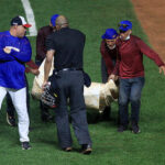 Tigres castigó a Leones y está segundo en la Central