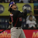 José Briceño quiere aportar a la causa de Magallanes