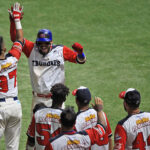 Leones vino de atrás para hundir al Magallanes