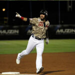 Ender Inciarte, un mago a la defensa en el jardín central