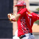 Leones dividió la serie en Puerto La Cruz