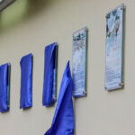 Juego entre Tiburones y Leones deberá ser reprogramado