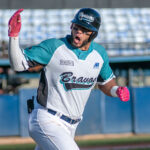 Tigres frenó a Águilas y dividió en Maracay