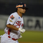 La LVBP suspendió a seis peloteros de Tiburones