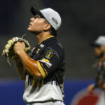 Pospuesto juego entre Cardenales y Magallanes