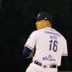 Allan Hernández, un diamante que Leones espera pulir