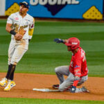 Tigres cortó racha de Caribes con jonrón de Yonathan Mendoza
