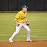 Cardenales barrió a Leones y ganó la serie particular