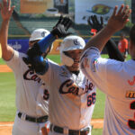 Aaron Bracho visualiza, escucha y absorbe con Tiburones