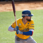 La LVBP estrena innovadora aplicación