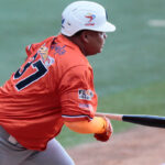 Aragua dejó en el terreno a Leones con hit de Eduardo Escobar