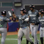 Magallanes aseguró un lugar en la postemporada y eliminó a Caribes