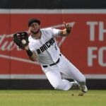 Leones derrotó a Bravos en el duelo que bajó el telón de la semifinal