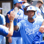 Luis Arráez implantó un registro particular