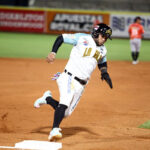 Ildemaro Vargas dio el hit de oro con el que Cardenales dejó en el terreno a Tigres