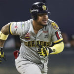 Ildemaro Vargas dio el hit de oro con el que Cardenales dejó en el terreno a Tigres