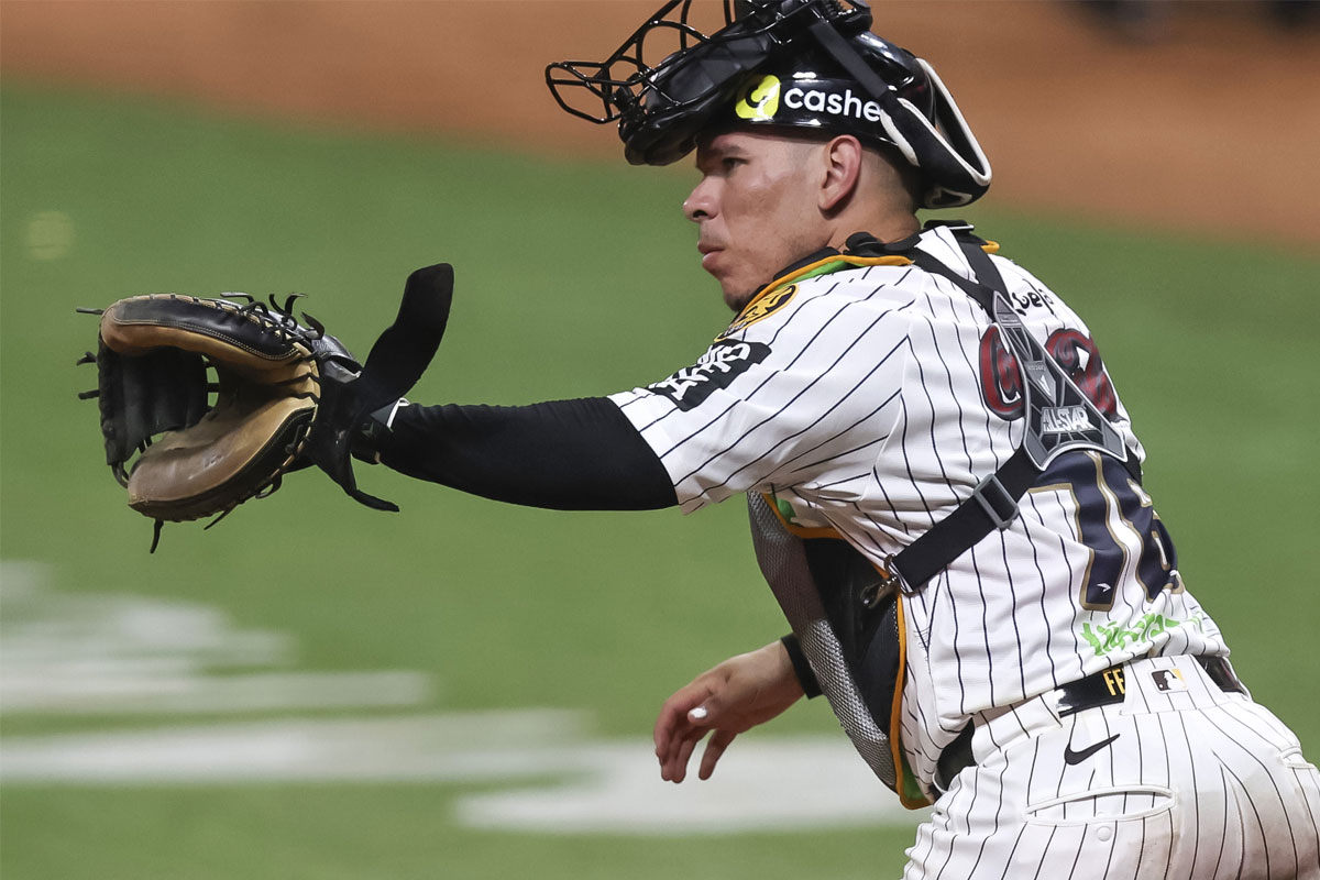 Freddy Fermín llegó para apoderarse de la receptoría de Leones