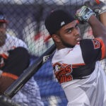 Magallanes arranca el Round Robin sin Rougned Odor